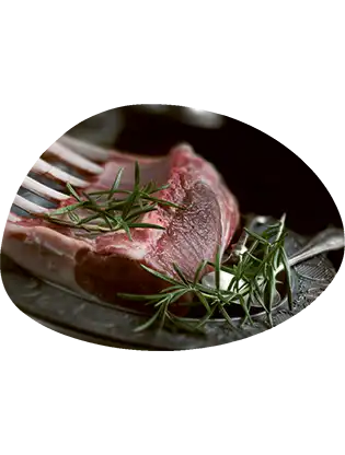 Ribeye XXL